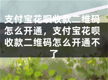 支付宝花呗收款二维码怎么开通，支付宝花呗收款二维码怎么开通不了