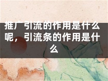 推广引流的作用是什么呢，引流条的作用是什么