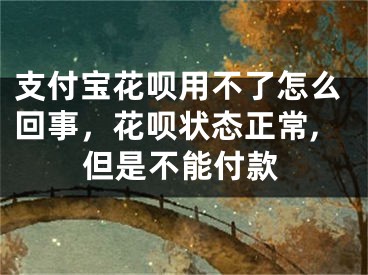 支付宝花呗用不了怎么回事，花呗状态正常,但是不能付款