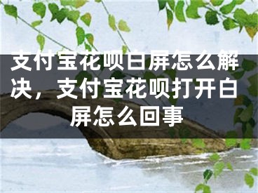 支付宝花呗白屏怎么解决，支付宝花呗打开白屏怎么回事