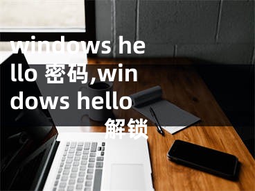 windows hello 密码,windows hello解锁