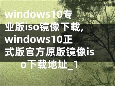 windows10专业版iso镜像下载,windows10正式版官方原版镜像iso下载地址_1
