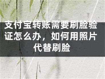 支付宝转账需要刷脸验证怎么办，如何用照片代替刷脸