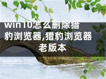 win10怎么删除猎豹浏览器,猎豹浏览器老版本