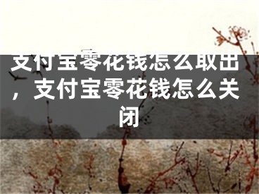 支付宝零花钱怎么取出，支付宝零花钱怎么关闭