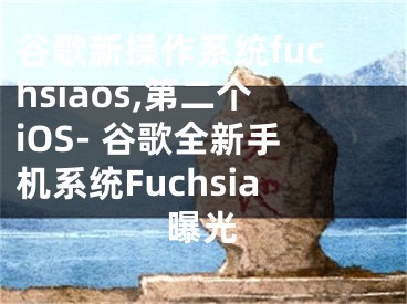 谷歌新操作系统fuchsiaos,第二个iOS- 谷歌全新手机系统Fuchsia曝光