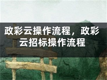 政彩云操作流程，政彩云招标操作流程