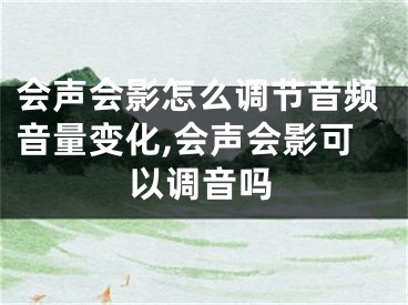 会声会影怎么调节音频音量变化,会声会影可以调音吗