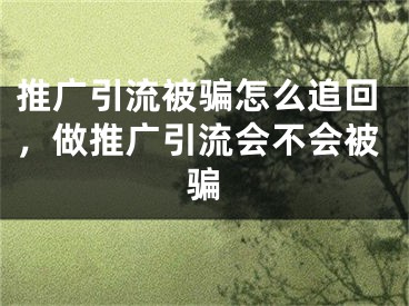 推广引流被骗怎么追回，做推广引流会不会被骗