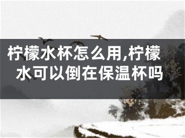 柠檬水杯怎么用,柠檬水可以倒在保温杯吗