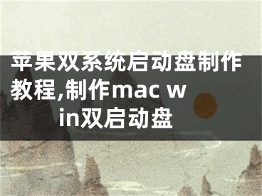 苹果双系统启动盘制作教程,制作mac win双启动盘