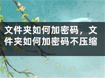 文件夹如何加密码，文件夹如何加密码不压缩