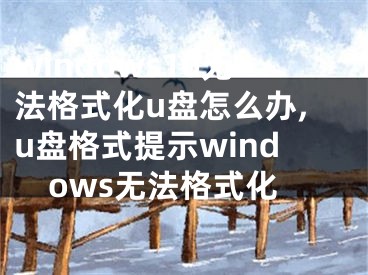 windows10无法格式化u盘怎么办,u盘格式提示windows无法格式化