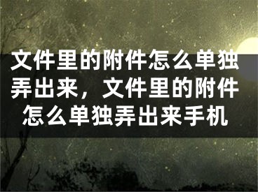 文件里的附件怎么单独弄出来，文件里的附件怎么单独弄出来手机