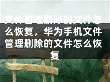 文件管理删除的文件怎么恢复，华为手机文件管理删除的文件怎么恢复