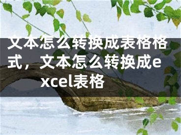 文本怎么转换成表格格式，文本怎么转换成excel表格