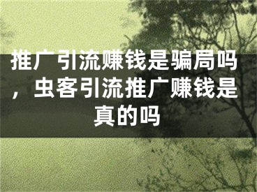 推广引流赚钱是骗局吗，虫客引流推广赚钱是真的吗