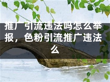 推广引流违法吗怎么举报，色粉引流推广违法么