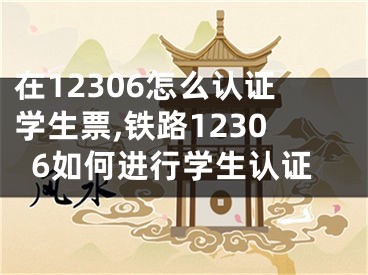 在12306怎么认证学生票,铁路12306如何进行学生认证