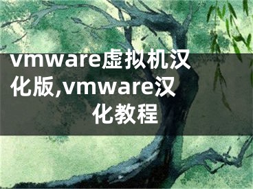 vmware虚拟机汉化版,vmware汉化教程