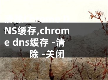 清除Chrome DNS缓存,chrome dns缓存 -清除 -关闭