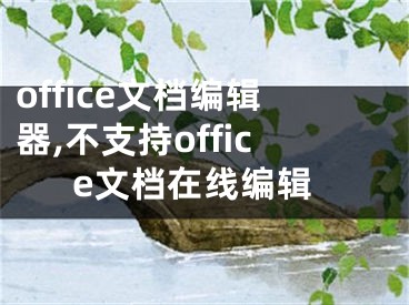 office文档编辑器,不支持office文档在线编辑