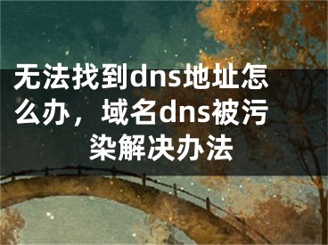 无法找到dns地址怎么办，域名dns被污染解决办法