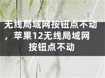 无线局域网按钮点不动，苹果12无线局域网按钮点不动