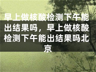 早上做核酸检测下午能出结果吗，早上做核酸检测下午能出结果吗北京