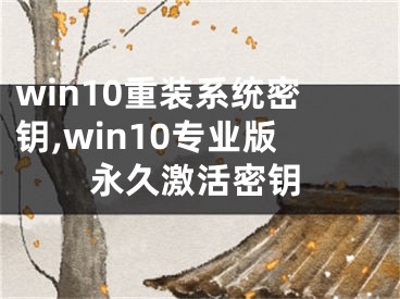 win10重装系统密钥,win10专业版永久激活密钥