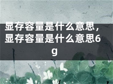 显存容量是什么意思，显存容量是什么意思6g