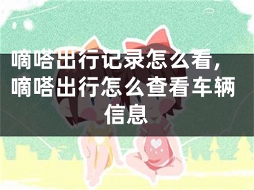 嘀嗒出行记录怎么看,嘀嗒出行怎么查看车辆信息