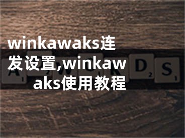 winkawaks连发设置,winkawaks使用教程