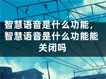 智慧语音是什么功能，智慧语音是什么功能能关闭吗