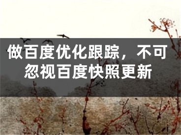 做百度优化跟踪，不可忽视百度快照更新