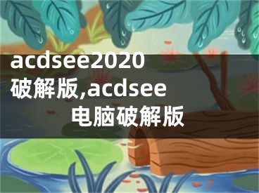 acdsee2020破解版,acdsee电脑破解版