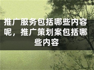 推广服务包括哪些内容呢，推广策划案包括哪些内容 