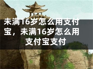 未满16岁怎么用支付宝，未满16岁怎么用支付宝支付