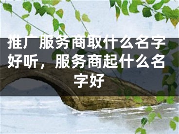 推广服务商取什么名字好听，服务商起什么名字好