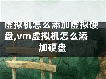 虚拟机怎么添加虚拟硬盘,vm虚拟机怎么添加硬盘