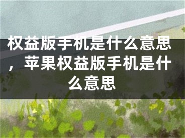 权益版手机是什么意思，苹果权益版手机是什么意思
