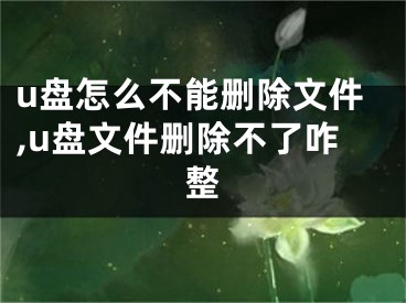 u盘怎么不能删除文件,u盘文件删除不了咋整