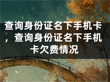 查询身份证名下手机卡，查询身份证名下手机卡欠费情况 