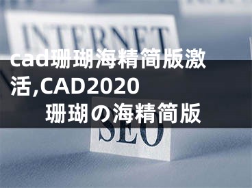 cad珊瑚海精简版激活,CAD2020 珊瑚の海精简版