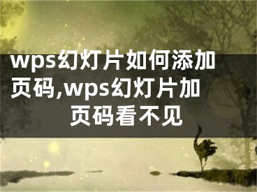 wps幻灯片如何添加页码,wps幻灯片加页码看不见