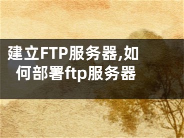 建立FTP服务器,如何部署ftp服务器