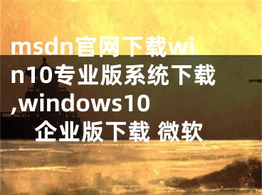 msdn官网下载win10专业版系统下载,windows10企业版下载 微软