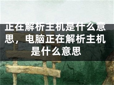 正在解析主机是什么意思，电脑正在解析主机是什么意思