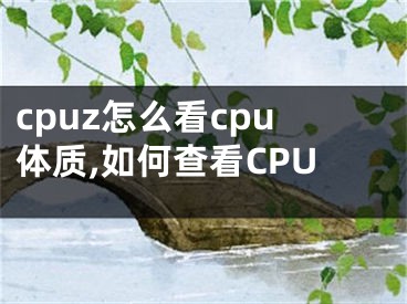cpuz怎么看cpu体质,如何查看CPU