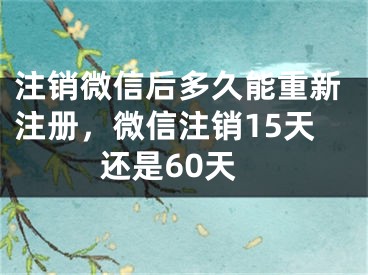 注销微信后多久能重新注册，微信注销15天还是60天